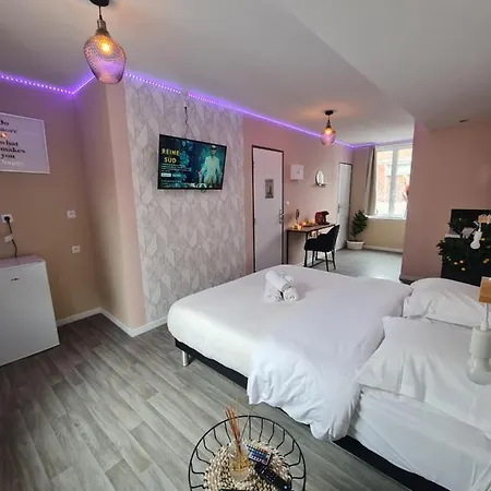 Ng Suitehome - Lille I Centre I 121 - Pastel - Netflix - Wifi Roubaix
